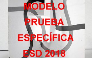 Arte-Casellas.-Modelo-prueba-específica-ESD-2018